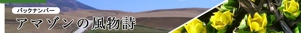 アマゾンの風物詩を掲載しているページです