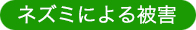 ネズミによる被害